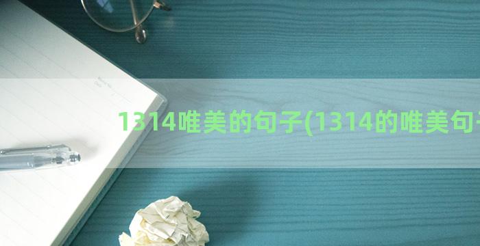 1314唯美的句子(1314的唯美句子)