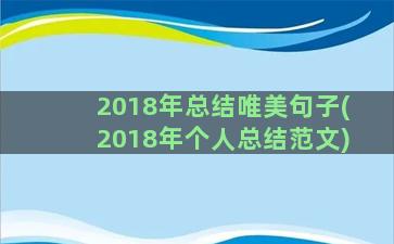 2018年总结唯美句子(2018年个人总结范文)