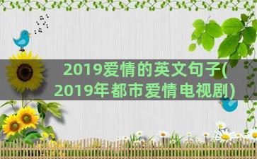 2019爱情的英文句子(2019年都市爱情电视剧)