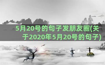 5月20号的句子发朋友圈(关于2020年5月20号的句子)