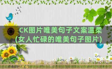 CK图片唯美句子文案温柔(女人忙碌的唯美句子图片)