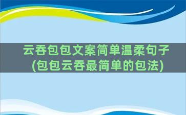 云吞包包文案简单温柔句子(包包云吞最简单的包法)