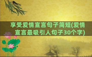 享受爱情宣言句子简短(爱情宣言最吸引人句子30个字)