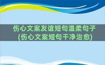 伤心文案友谊短句温柔句子(伤心文案短句干净治愈)