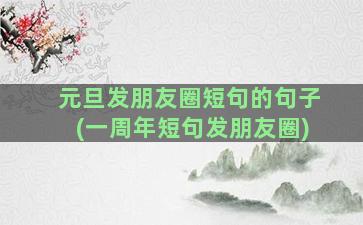 元旦发朋友圈短句的句子(一周年短句发朋友圈)