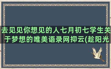 去见见你想见的人七月初七学生关于梦想的唯美语录网抑云(趁阳光正好)