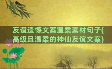 友谊遗憾文案温柔素材句子(高级且温柔的神仙友谊文案)