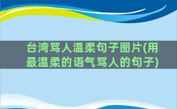 台湾骂人温柔句子图片(用最温柔的语气骂人的句子)