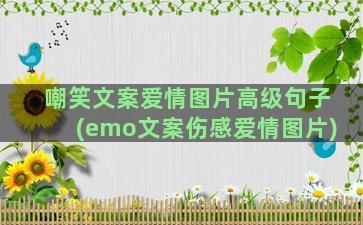 嘲笑文案爱情图片高级句子(emo文案伤感爱情图片)