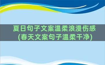 夏日句子文案温柔浪漫伤感(春天文案句子温柔干净)