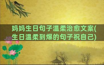 妈妈生日句子温柔治愈文案(生日温柔到爆的句子祝自己)