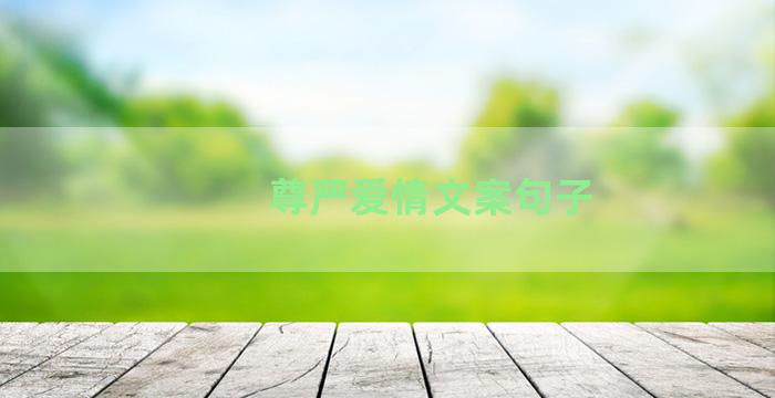 尊严爱情文案句子