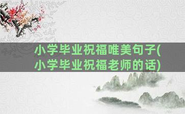 小学毕业祝福唯美句子(小学毕业祝福老师的话)