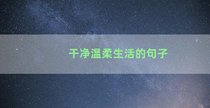 干净温柔生活的句子