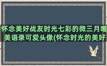 怀念美好战友时光七彩的微三月唯美语录可爱头像(怀念时光的美好句子)