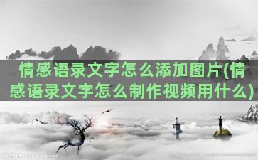 情感语录文字怎么添加图片(情感语录文字怎么制作视频用什么)