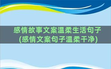 感情故事文案温柔生活句子(感情文案句子温柔干净)