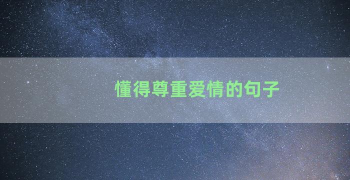 懂得尊重爱情的句子