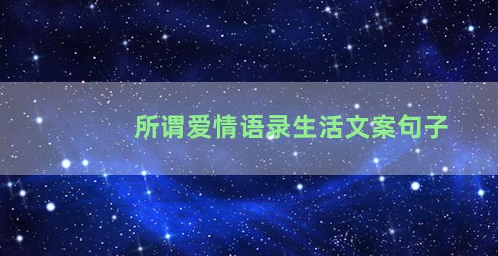 所谓爱情语录生活文案句子