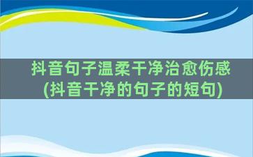 抖音句子温柔干净治愈伤感(抖音干净的句子的短句)