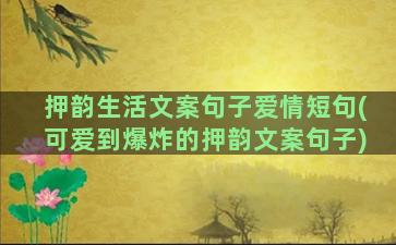 押韵生活文案句子爱情短句(可爱到爆炸的押韵文案句子)