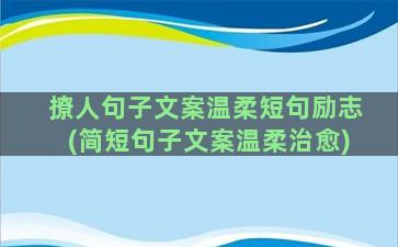 撩人句子文案温柔短句励志(简短句子文案温柔治愈)