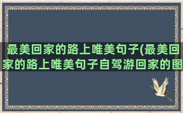 最美回家的路上唯美句子(最美回家的路上唯美句子自驾游回家的图片)