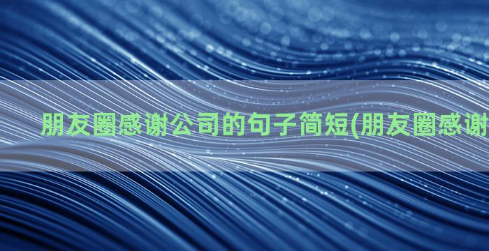 朋友圈感谢公司的句子简短(朋友圈感谢父母文案)