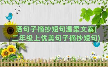 洒句子摘抄短句温柔文案(二年级上优美句子摘抄短句)