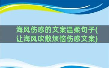 海风伤感的文案温柔句子(让海风吹散烦恼伤感文案)