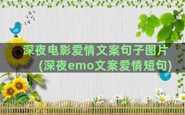 深夜电影爱情文案句子图片(深夜emo文案爱情短句)