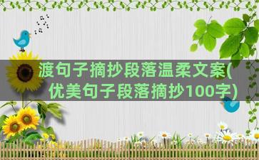 渡句子摘抄段落温柔文案(优美句子段落摘抄100字)