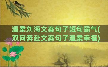 温柔刘海文案句子短句霸气(双向奔赴文案句子温柔幸福)