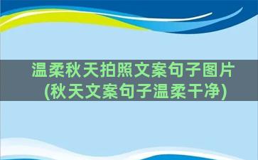 温柔秋天拍照文案句子图片(秋天文案句子温柔干净)