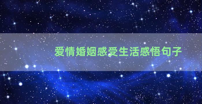 爱情婚姻感受生活感悟句子