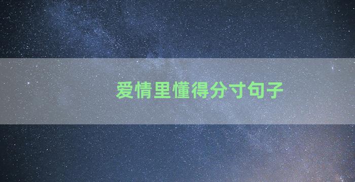 爱情里懂得分寸句子