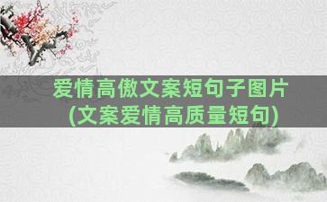 爱情高傲文案短句子图片(文案爱情高质量短句)