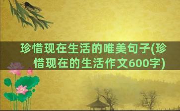 珍惜现在生活的唯美句子(珍惜现在的生活作文600字)