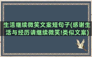 生活继续微笑文案短句子(感谢生活与经历请继续微笑!类似文案)