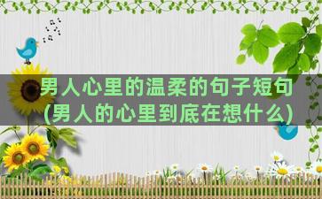 男人心里的温柔的句子短句(男人的心里到底在想什么)