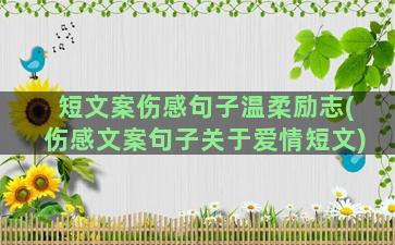 短文案伤感句子温柔励志(伤感文案句子关于爱情短文)