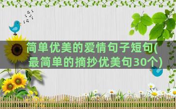 简单优美的爱情句子短句(最简单的摘抄优美句30个)