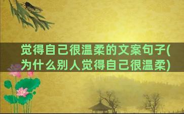 觉得自己很温柔的文案句子(为什么别人觉得自己很温柔)