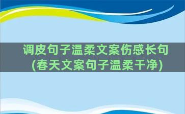 调皮句子温柔文案伤感长句(春天文案句子温柔干净)