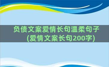 负债文案爱情长句温柔句子(爱情文案长句200字)