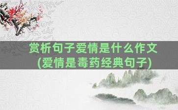 赏析句子爱情是什么作文(爱情是毒药经典句子)