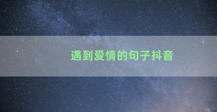 遇到爱情的句子抖音